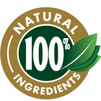 Leanzene Leanzene all natural vegan ingredients